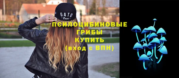 амфетамин Алексеевка
