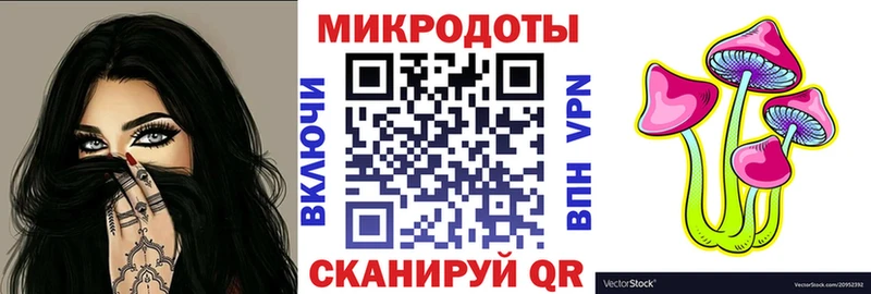 продажа наркотиков  MEGA   Галлюциногенные грибы GOLDEN TEACHER  Элиста 