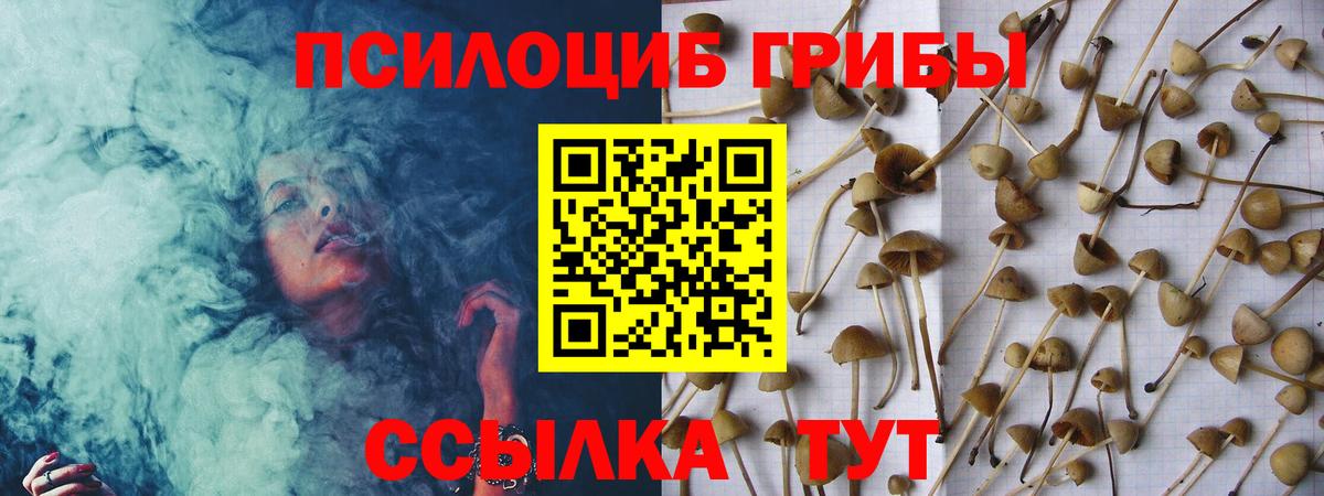 Псилоцибиновые грибы прущие грибы Элиста