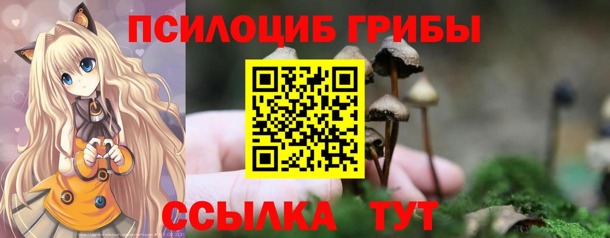 Элиста  Галлюциногенные грибы Psilocybine cubensis  Галлюциногенные грибы GOLDEN TEACHER  Вход с VPN 